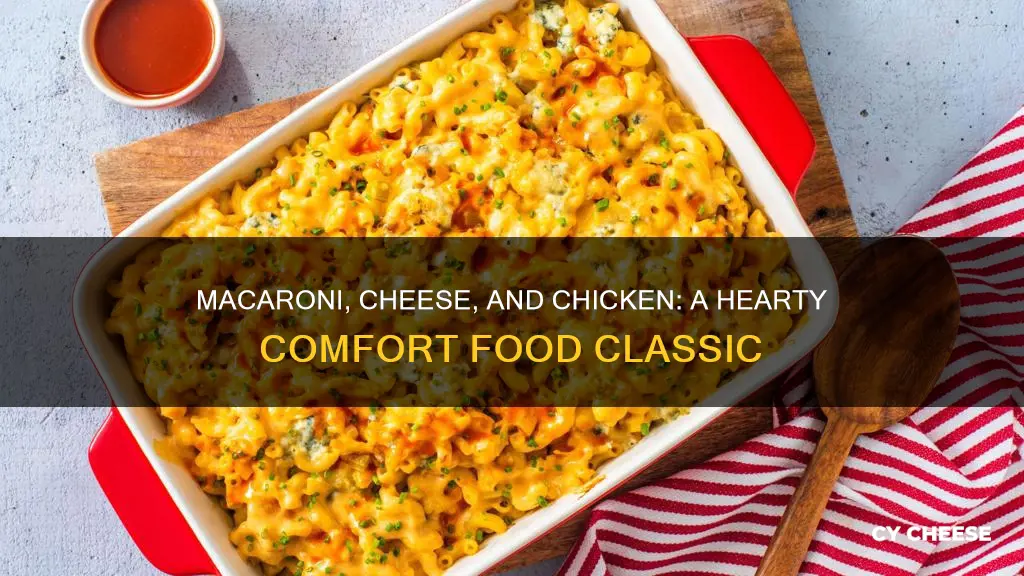 how to cook macaroni cheese with chicken