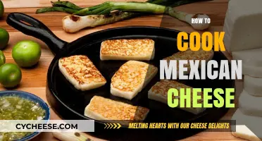 Authentic Mexican Cheese: A Beginner's Guide to Melting