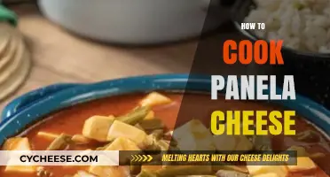 Panela Cheese: A Beginner's Guide to Cooking