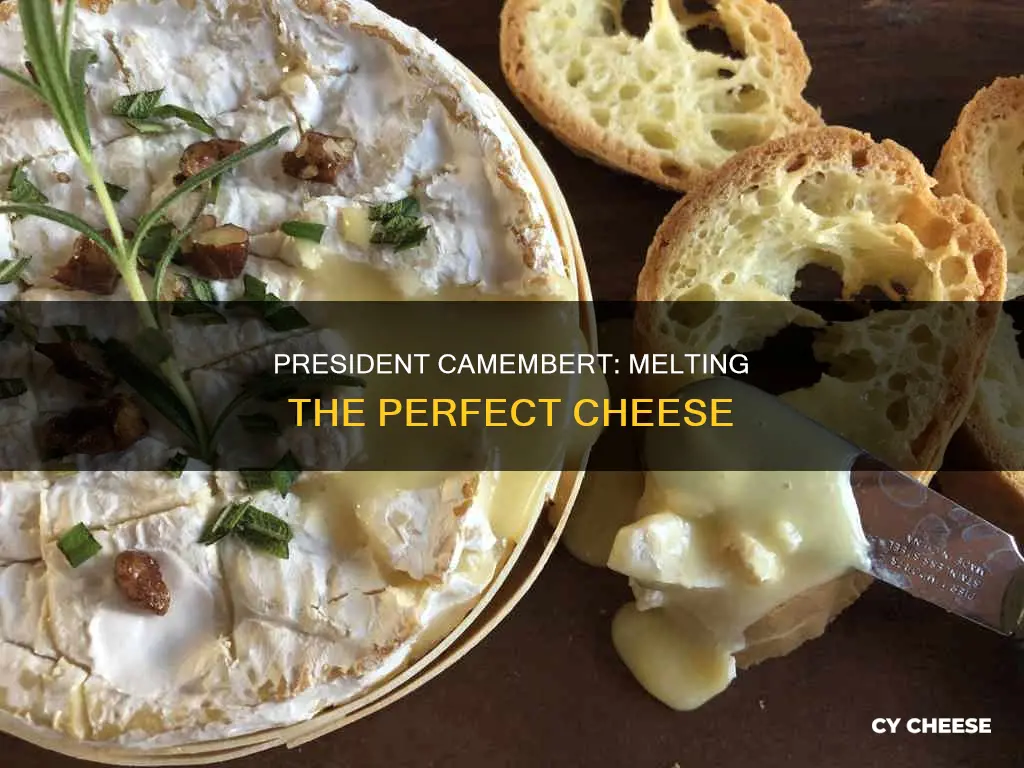 how to cook president camembert cheese