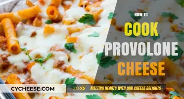Cooking Provolone Cheese: A Beginner's Guide