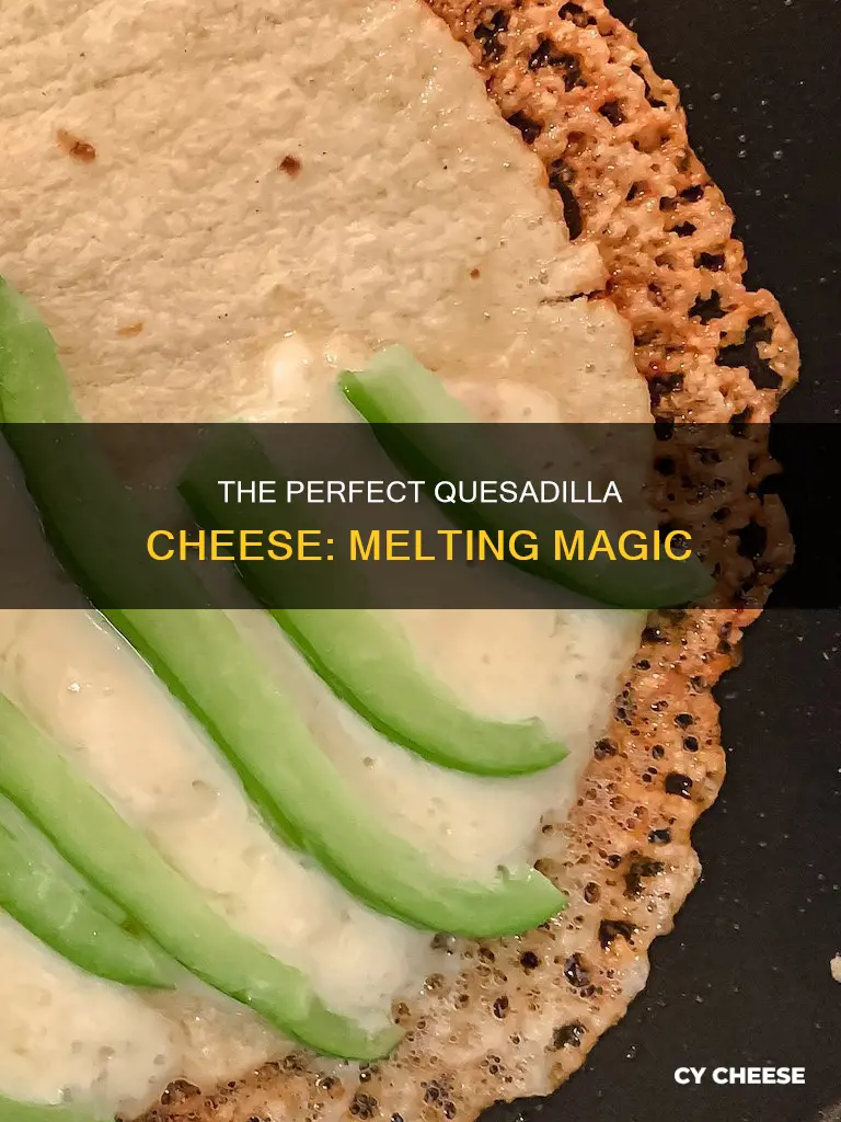 how to cook quesadilla cheese