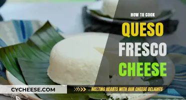 Cooking Queso Fresco: A Beginner's Guide