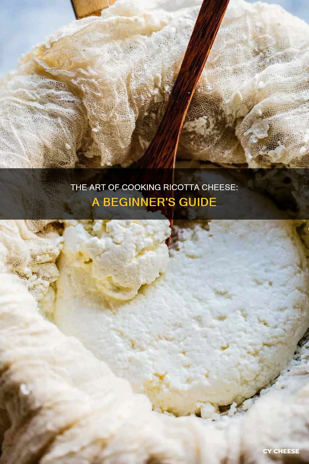 how to cook ricotta cheese