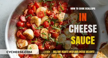 Scallops Smothered in Cheese Sauce: A Quick Guide