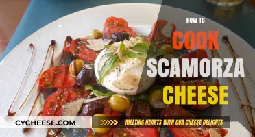 Scamorza Cheese: A Beginner's Guide to Cooking