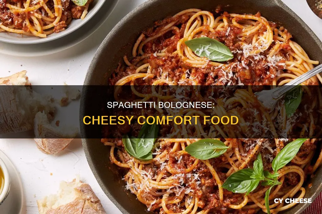 how to cook spaghetti bolognese with cheese