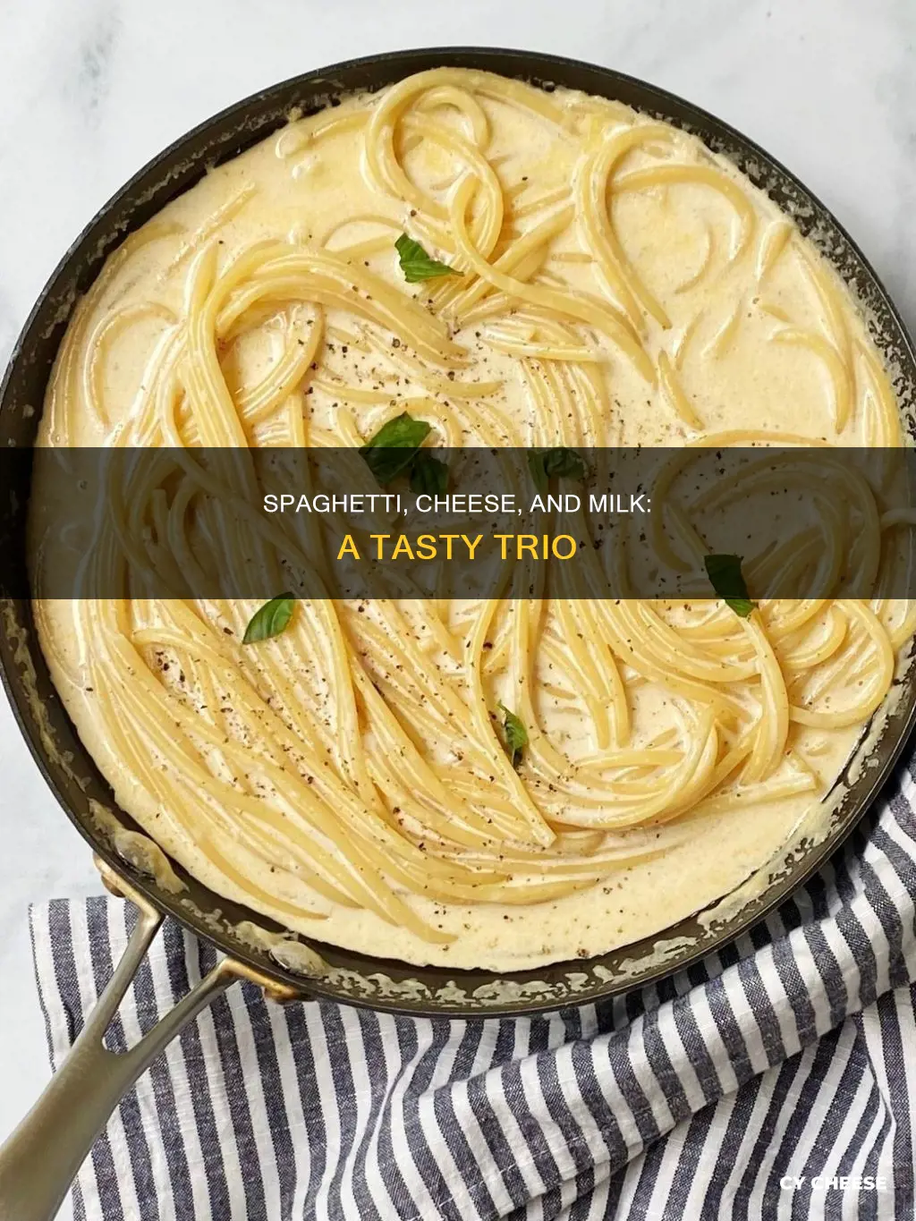 how to cook spaghetti with cheese and milk