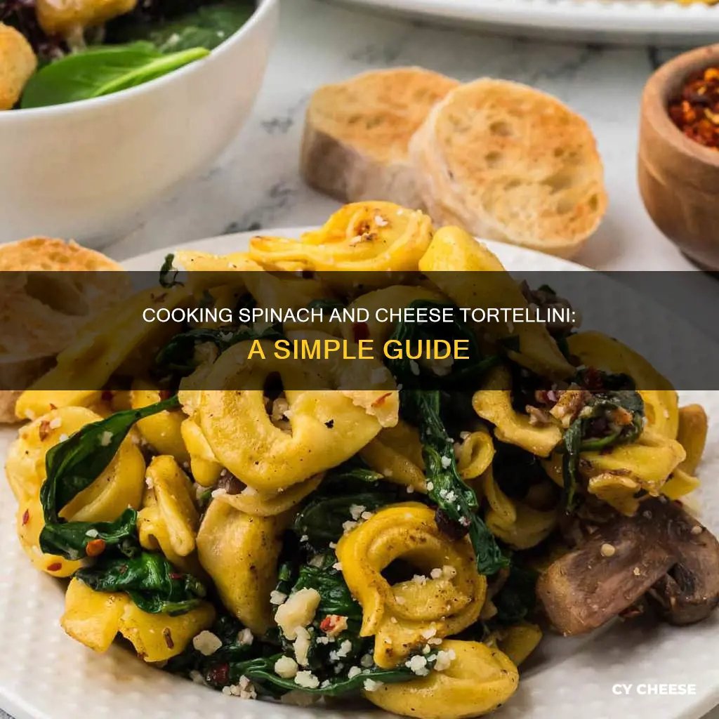 how to cook spinach and cheese tortellini