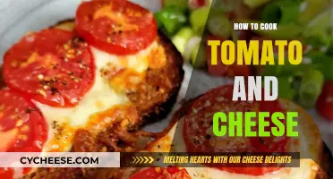 A Tasty Tomato and Cheese Recipe