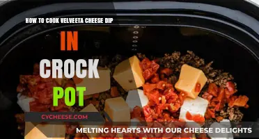 Velveeta Cheese Dip: Slow Cooker Style