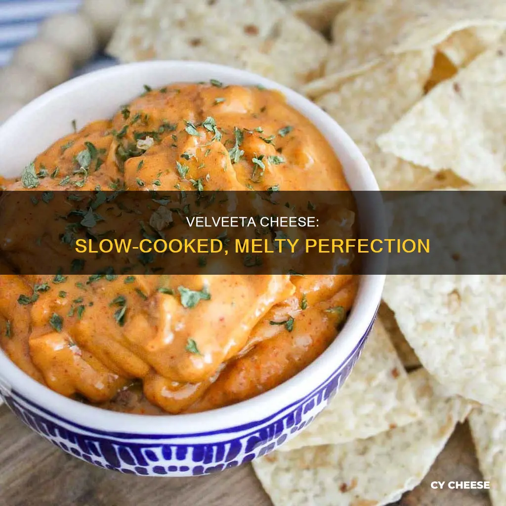 how to cook velveeta cheese in crock pot