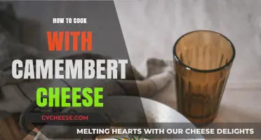 Camembert Cheese: Cooking Tips and Tricks