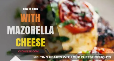 Crafting Delicious Meals with Mozzarella