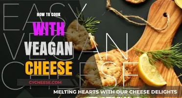 Vegan Cheese: Cooking and Melting Tips