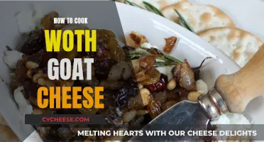 Goat Cheese Delights: Easy Cooking Ideas for You