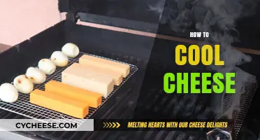 Mastering Cheese Cooling: Quick Tips for Perfect Preservation and Texture