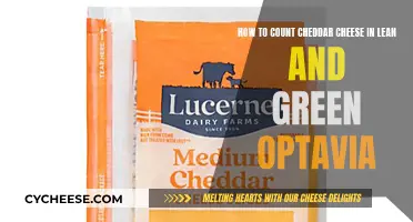 Counting Cheddar: A Guide to Lean and Green Optavia Portions