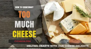Balancing Indulgence: Strategies to Counteract Overdoing It on Cheese