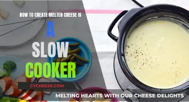 Creating Melted Cheese in a Slow Cooker: Easy Steps