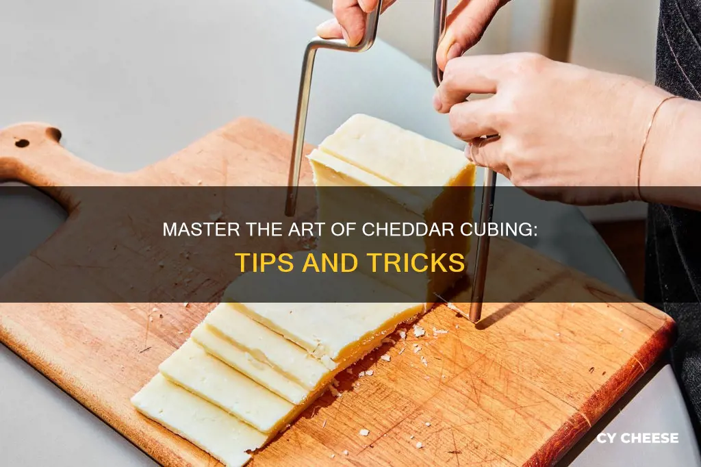 how to cube cheddar cheese