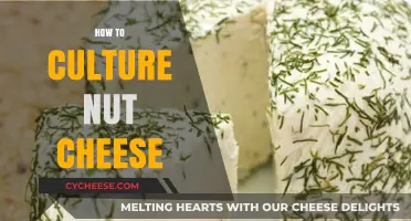 Mastering Nut Cheese: A Step-by-Step Guide to Culturing Creamy Delights
