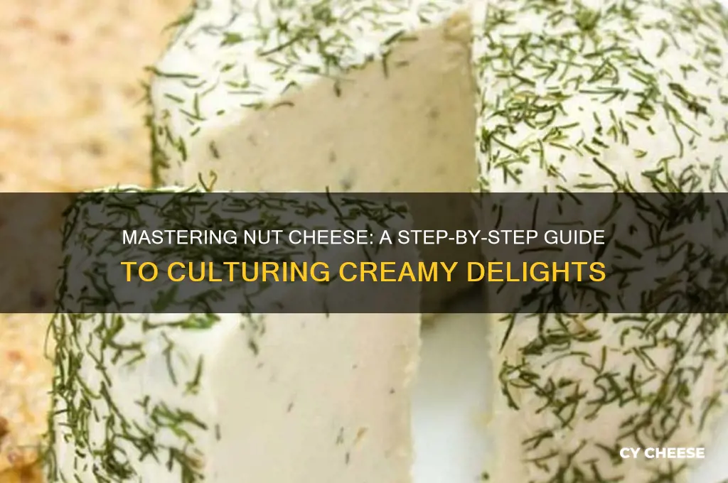 how to culture nut cheese