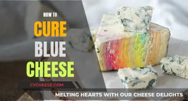 Blue Cheese Curing: A Step-by-Step Guide to Perfection
