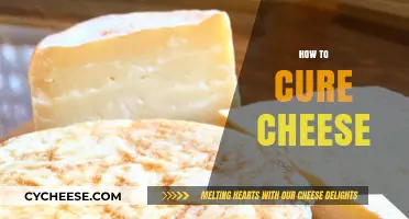 Mastering the Art of Cheese Curing: Techniques for Perfect Results