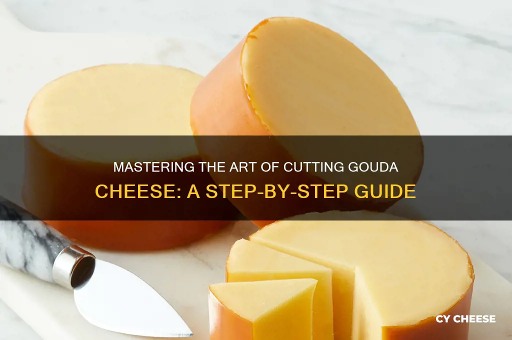 how to cut a wheel of gouda cheese