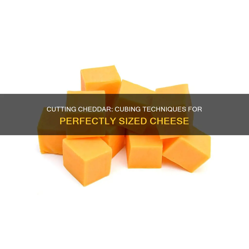how to cut cheddar cheese into cubes