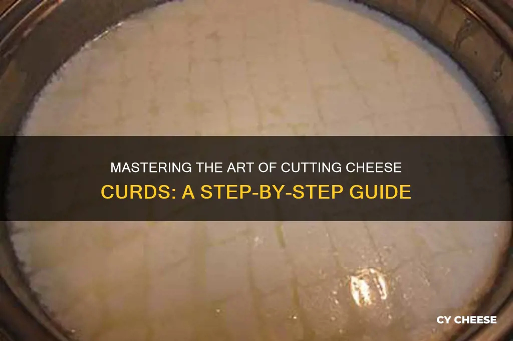 how to cut cheese curd