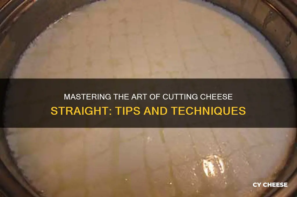 how to cut cheese straight