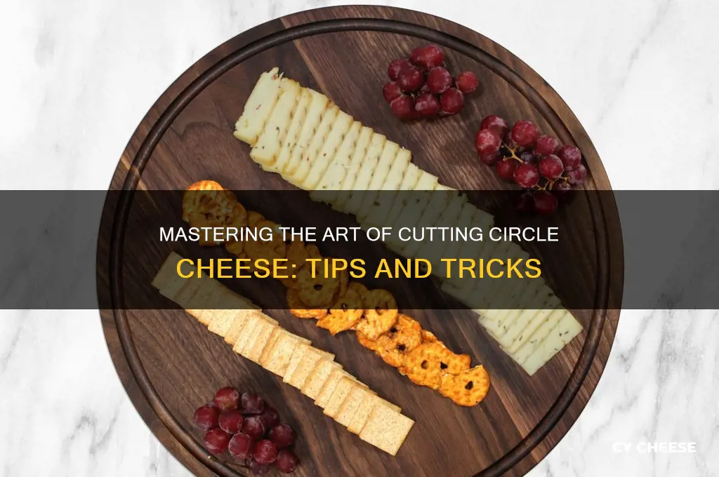 how to cut circle cheese