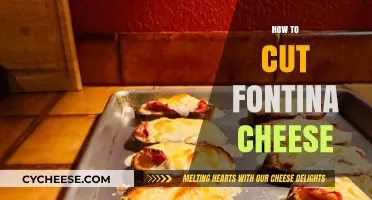 Mastering the Art of Cutting Fontina Cheese: Tips and Techniques
