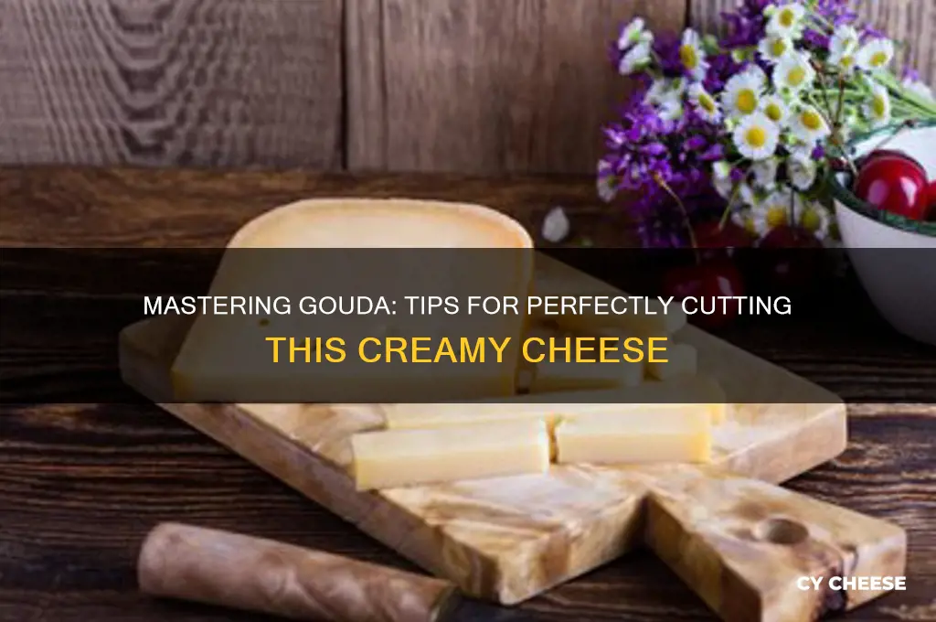 how to cut gouda cheese