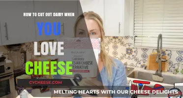 Cheese Lover's Guide: Cutting Out Dairy Without Sacrificing Flavor