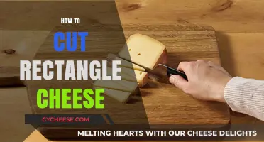Mastering the Art of Cutting Rectangle Cheese: Tips and Techniques