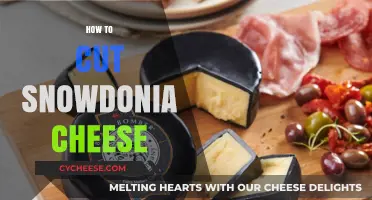 Mastering the Art of Cutting Snowdonia Cheese: Tips and Techniques