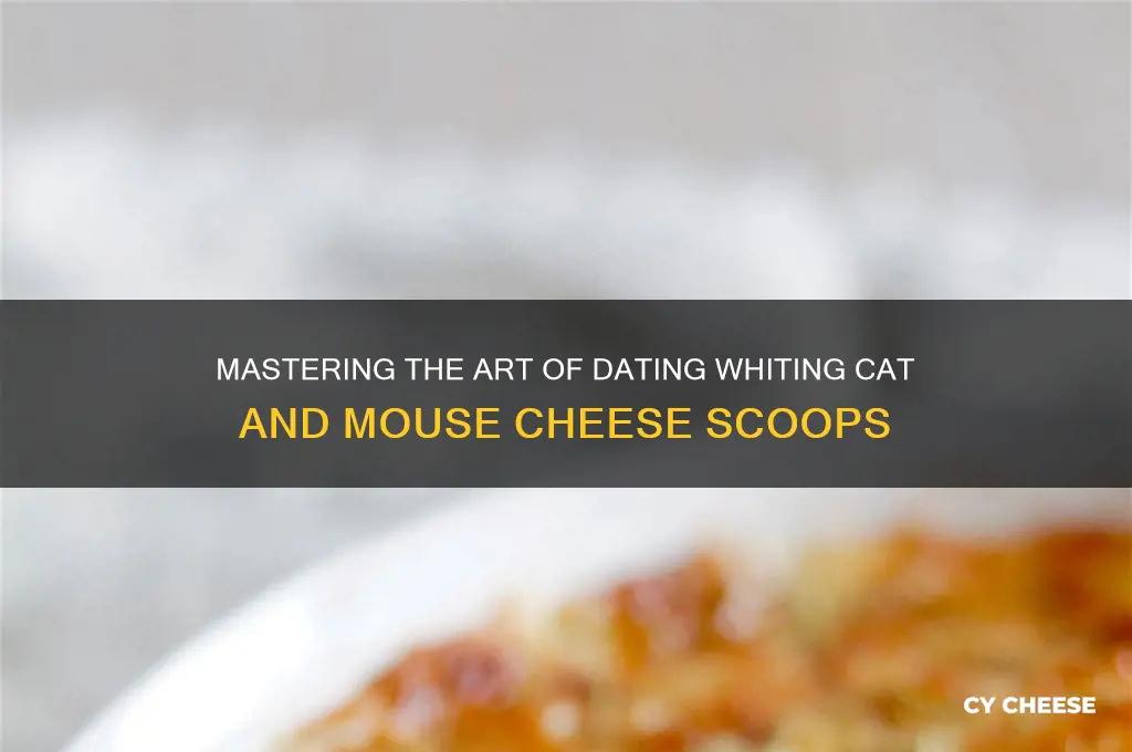 how to date whiting cat and mouse cheese scoop