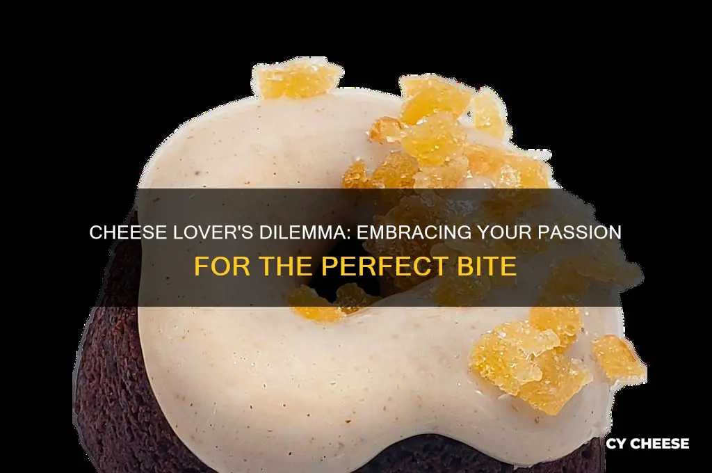 how to deal if you are in love with cheese