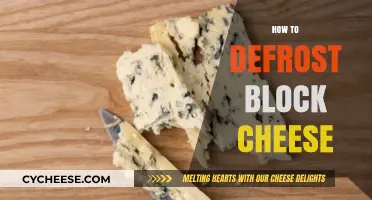 Quick Tips for Safely Defrosting Block Cheese at Home