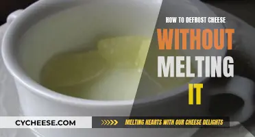 Defrosting Cheese: Best Tips to Avoid Melting