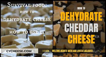 Mastering the Art of Dehydrating Cheddar: A Step-by-Step Guide