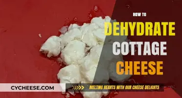 Easy Guide to Dehydrating Cottage Cheese for Long-Lasting Storage