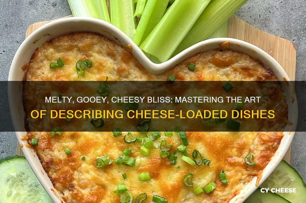 how to describe a dish with a lot of cheese