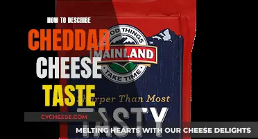 Unraveling Cheddar's Complex Flavor Profile: A Tasting Adventure