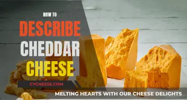 The Ultimate Guide to Cheddar Cheese: A Sensory Journey