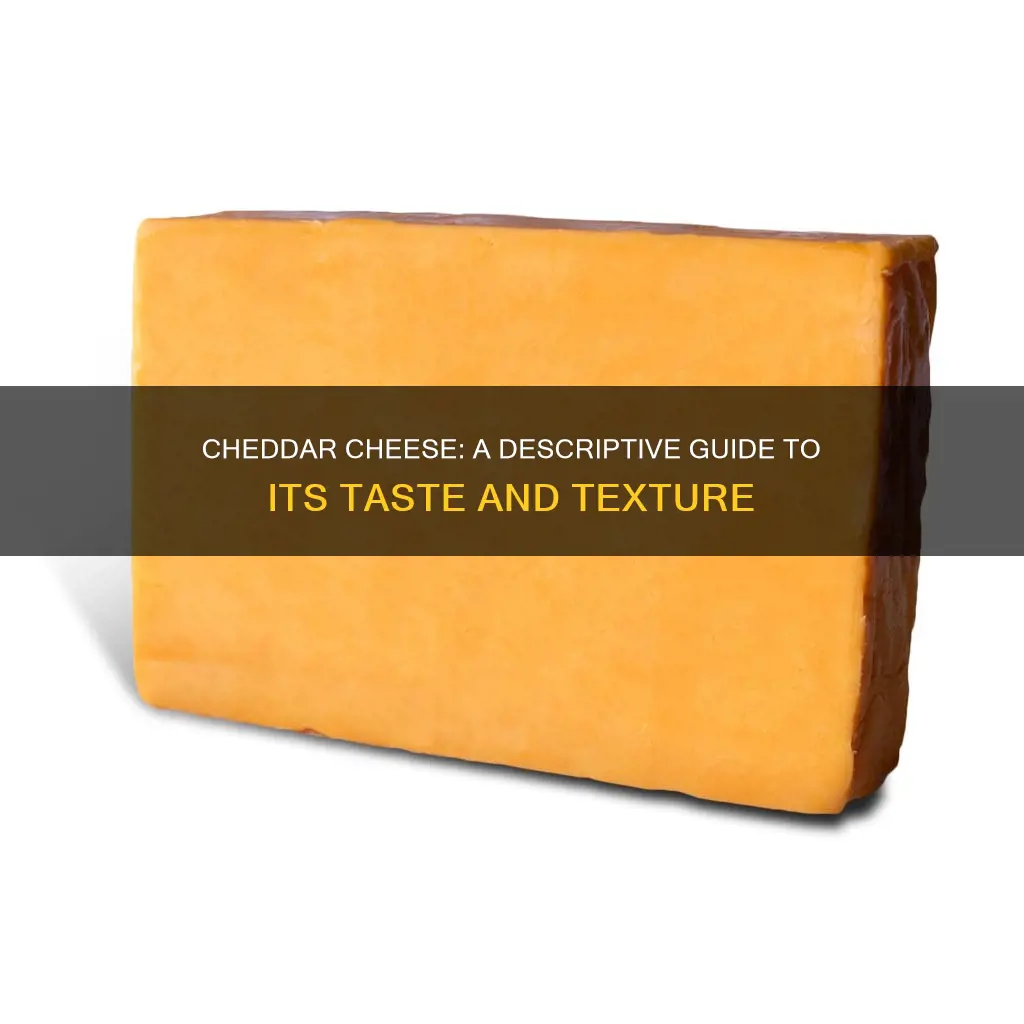 how to describe cheddar cheese