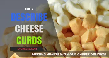 Exploring the Squeaky, Fresh, and Irresistible World of Cheese Curds